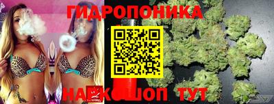 прущие грибы Бузулук