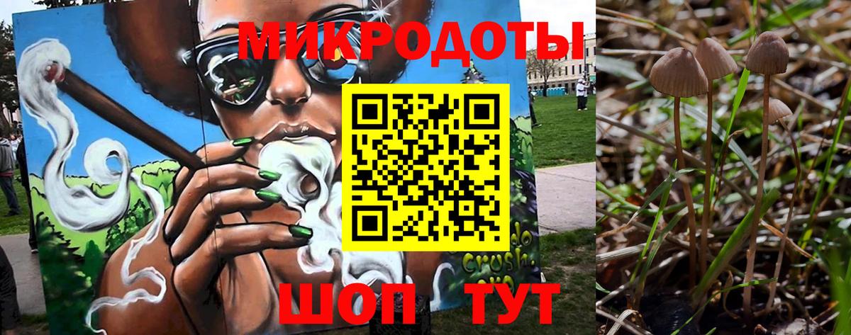 Псилоцибиновые грибы мухоморы Копейск