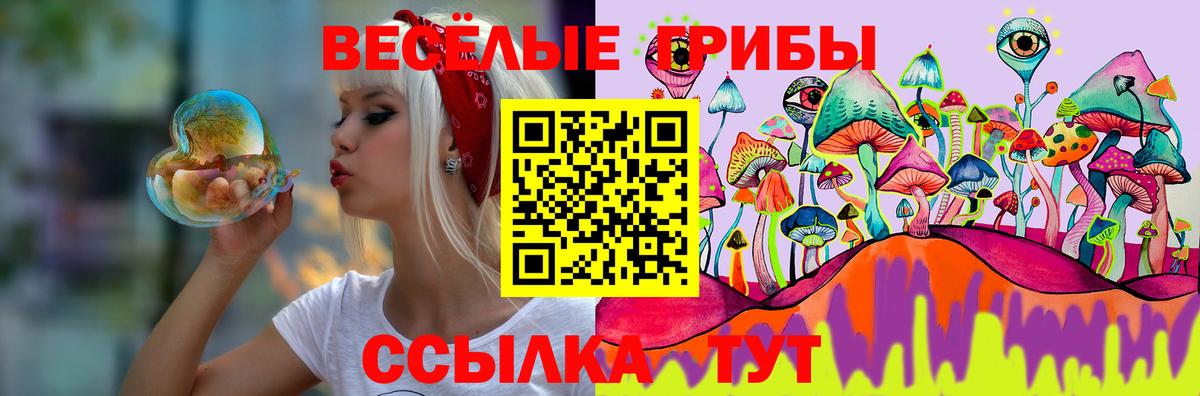 Копейск  Псилоцибиновые грибы ЛСД  Вход с VPN 